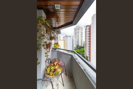 Apartamento à venda com 116m², 3 quartos e 3 vagasSacada