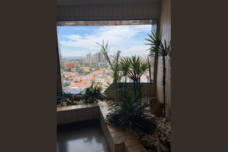 Apartamento para alugar com 560m², 4 quartos e 4 vagas Apartamento para alugar com 560m², 4 quartos e 4 vagasJardim