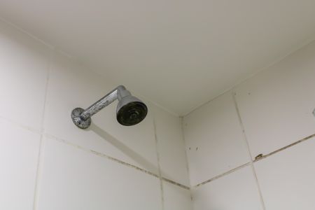 Apartamento para alugar com 54m², 2 quartos e 1 vaga Apartamento para alugar com 54m², 2 quartos e 1 vagaBanheiro do Quarto Suíte