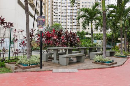 Apartamento para alugar com 54m², 2 quartos e 1 vaga Apartamento para alugar com 54m², 2 quartos e 1 vagaBosque