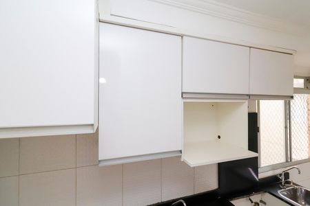 Apartamento para alugar com 45m², 2 quartos e sem vagaCozinha - Armários