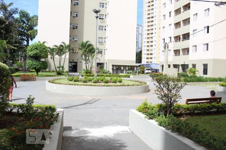 Apartamento para alugar com 65m², 3 quartos e 1 vaga Apartamento para alugar com 65m², 3 quartos e 1 vagaÁrea Comum