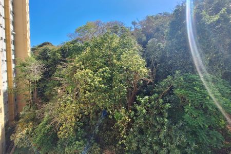 Apartamento para alugar com 55m², 1 quarto e 1 vaga Apartamento para alugar com 55m², 1 quarto e 1 vagaVaranda da Sala Vista