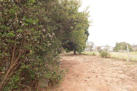 Casa para alugar com 358m², 3 quartos e 6 vagasÁrea Externa