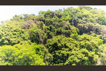 Apartamento para alugar com 120m², 3 quartos e 1 vagaVista Suíte 