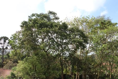 Casa de condomínio para alugar com 300m², 5 quartos e 4 vagasSuíte 5