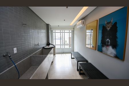Apartamento para alugar com 66m², 2 quartos e 2 vagasÁrea Comum - Pet Care