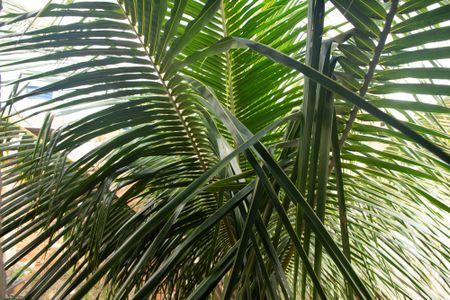 Casa para alugar com 100m², 2 quartos e sem vagaVista do Quarto de Serviço