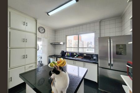 Apartamento para alugar com 150m², 3 quartos e 2 vagasCozinha