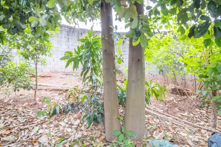 Jardim de casa para alugar com 1 quarto, 69m² em Santa Maria, Osasco