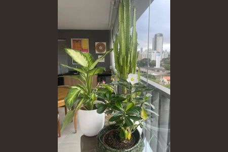 Apartamento para alugar com 98m², 3 quartos e 2 vagas