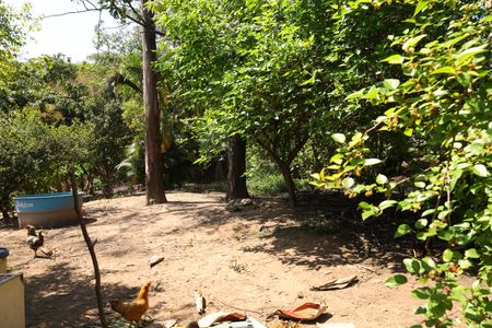 Casa de condomínio para alugar com 185m², 3 quartos e 2 vagasÁrea comum - Área verde