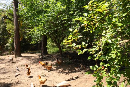 Casa de condomínio para alugar com 185m², 3 quartos e 2 vagasÁrea comum - Área verde