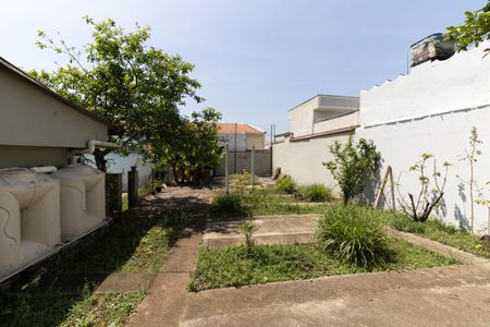 Casa à venda com 403m², 5 quartos e 6 vagasQuintal/Jardim 