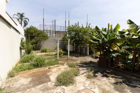 Casa à venda com 403m², 5 quartos e 6 vagasQuintal/Jardim 