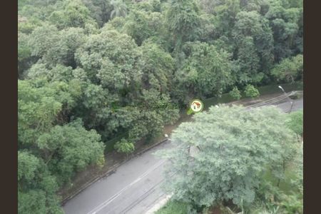 Apartamento à venda com 4 quartos, 114m² em Vila Suzana, São Paulo