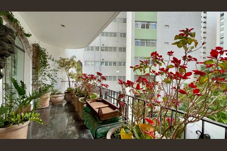 Apartamento à venda com 360m², 3 quartos e 2 vagas Apartamento à venda com 360m², 3 quartos e 2 vagasVaranda