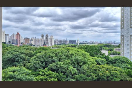 Vista de apartamento para alugar com 1 quarto, 32m² em Parque Industrial Tomas Edson, São Paulo