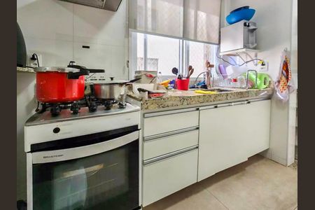 Cozinha de apartamento à venda com 2 quartos, 66m² em Santo Antônio, Belo Horizonte