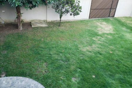 Casa à venda com 78m², 2 quartos e sem vagaQuintal