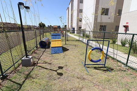 Apartamento para alugar com 50m², 2 quartos e sem vagaÁrea comum - Espaço Pet