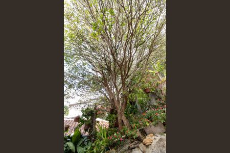 Área Externa de casa à venda com 6 quartos, 300m² em Colinas do Ermitage (sousas), Campinas