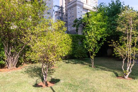 Apartamento à venda com 172m², 3 quartos e 3 vagasÁrea Comum - Área Verde