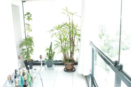 Apartamento à venda com 201m², 2 quartos e 4 vagasVaranda da Sala