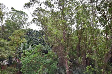 Vista do Quarto 1 de apartamento para alugar com 2 quartos, 47m² em Jardim Catanduva, São Paulo