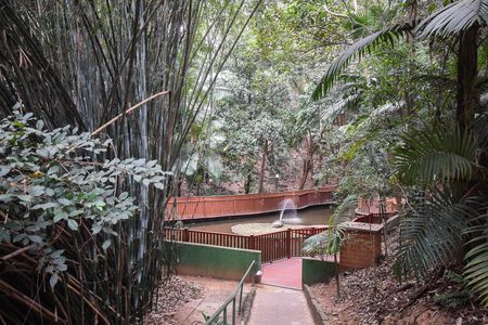 Apartamento para alugar com 47m², 2 quartos e 1 vagaLagoa