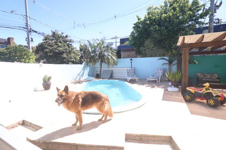 Casa à venda com 350m², 4 quartos e 2 vagasÁrea comum - Piscina