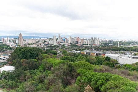 Vista de apartamento para alugar com 1 quarto, 28m² em Parque Industrial Tomas Edson, São Paulo