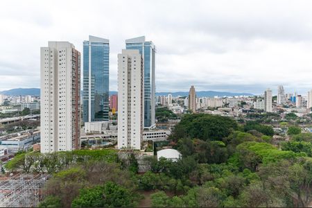 Vista de apartamento para alugar com 1 quarto, 28m² em Parque Industrial Tomas Edson, São Paulo