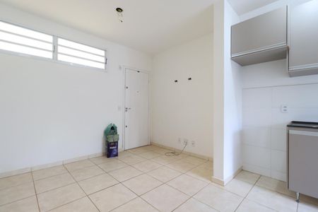 Sala de apartamento para alugar com 2 quartos, 50m² em Valentina Figueiredo, Ribeirão Preto