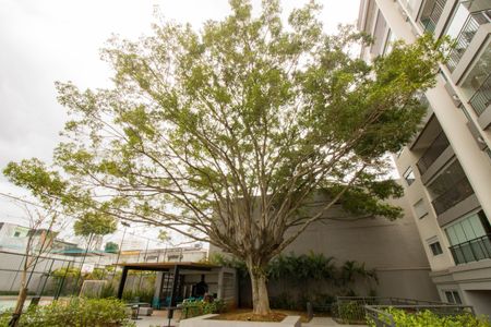 Apartamento à venda com 67m², 2 quartos e 2 vagasÁrea comum