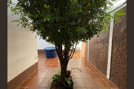 Casa para alugar com 150m², 3 quartos e 2 vagas Casa para alugar com 150m², 3 quartos e 2 vagasQuintal