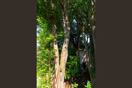 Casa à venda com 288m², 4 quartos e 5 vagas Casa à venda com 288m², 4 quartos e 5 vagasÁrea Externa