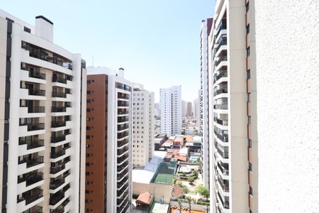 Apartamento para alugar com 265m², 4 quartos e 4 vagasSacada da Suíte Vista