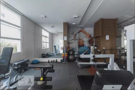 Apartamento para alugar com 265m², 4 quartos e 4 vagasÁrea comum - Academia