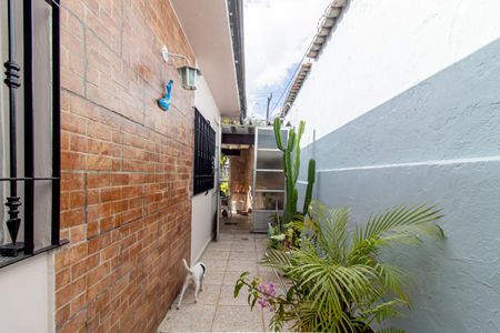 Casa à venda com 200m², 2 quartos e 3 vagasQuintal