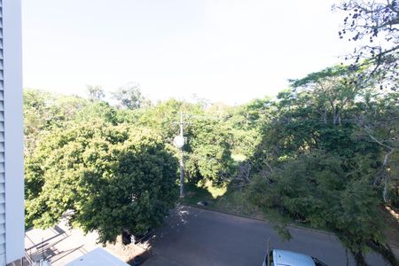 Vista do Quarto 1 de apartamento para alugar com 2 quartos, 68m² em Jardim Botânico, Porto Alegre