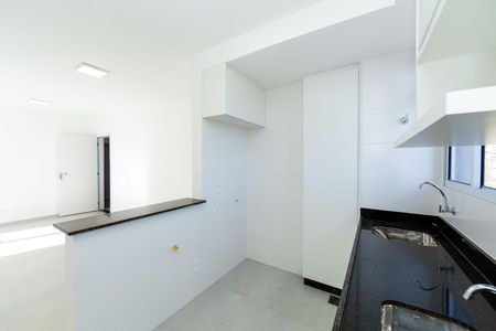 Cozinha de apartamento para alugar com 2 quartos, 57m² em Buritis, Belo Horizonte