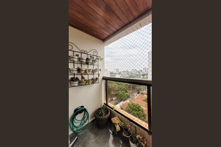 Varanda Sala de apartamento à venda com 3 quartos, 117m² em Cambuí, Campinas