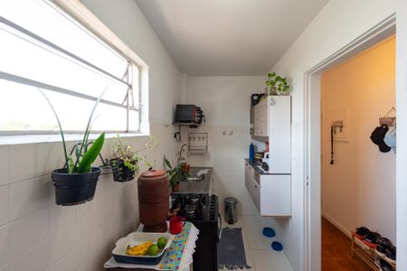 Apartamento à venda com 42m², 1 quarto e sem vaga Apartamento à venda com 42m², 1 quarto e sem vagaCozinha