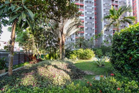 Apartamento para alugar com 77m², 2 quartos e 1 vaga Apartamento para alugar com 77m², 2 quartos e 1 vagaÁrea verde