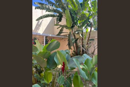 Casa à venda com 210m², 4 quartos e 3 vagasFoto 26