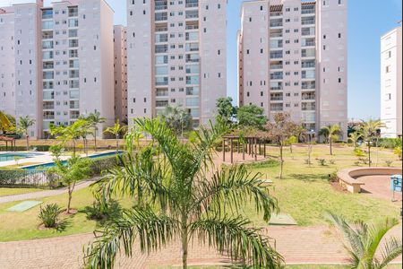 Vista do Quarto 1 de apartamento para alugar com 3 quartos, 76m² em Jardim São Vicente, Campinas