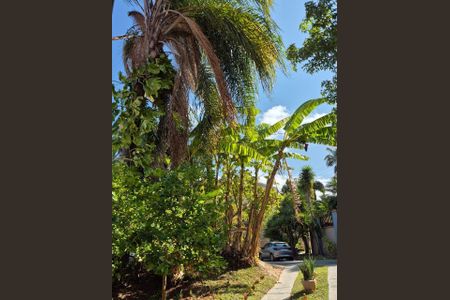 Casa de condomínio à venda com 340m², 5 quartos e 6 vagas