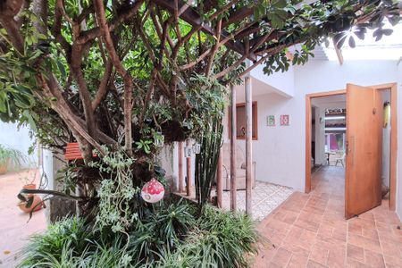 Casa à venda com 400m², 2 quartos e 5 vagasQuintal