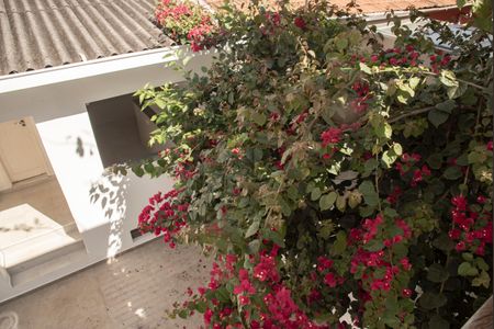 Casa à venda com 175m², 3 quartos e 3 vagasVista do Quarto 1